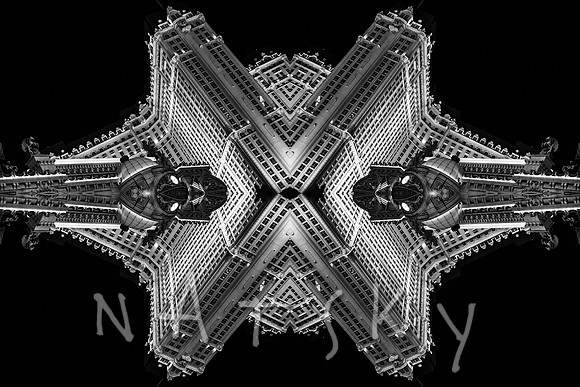 STARFISH 1 of 5
