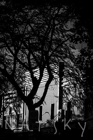 tree