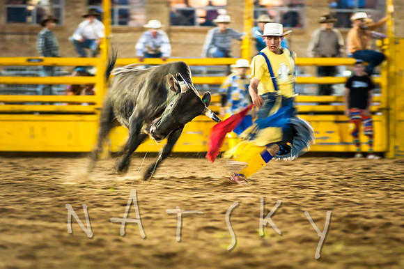 PRIMARY BULL 1 of 5