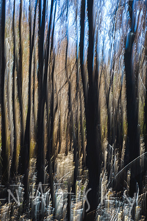 TWO MATCHSTICKS 4 of 5