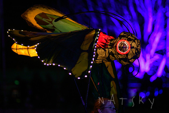 lantern parade 123