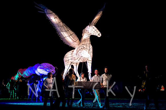 LANTERN PARADE 157