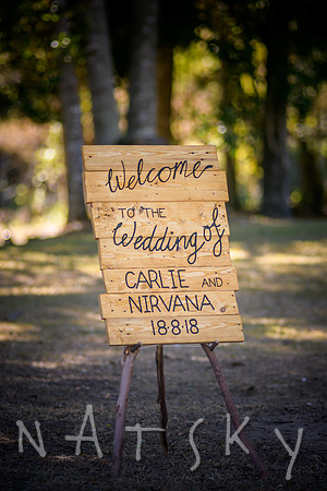 Numinbah Wedding Photographer