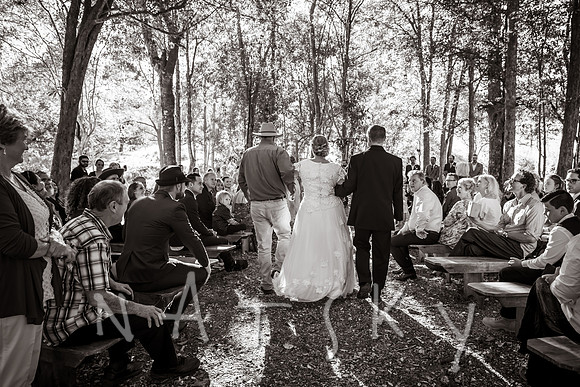 Numinbah Valley Wedding Photographer