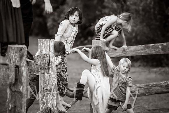 Numinbah Valley Wedding Photographer