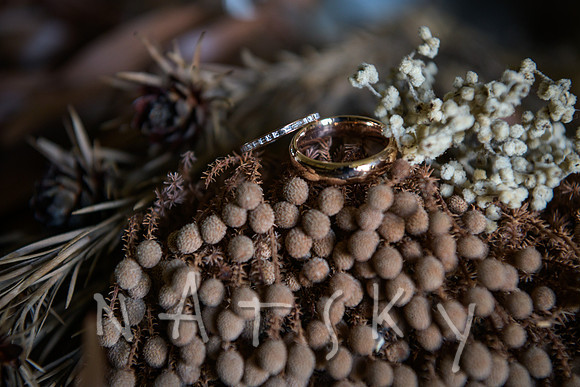 Northern Rivers Wedding Photography