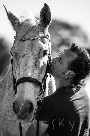 WILDERS HORSES 006
