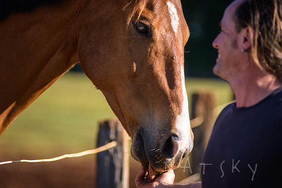 WILDERS HORSES 016