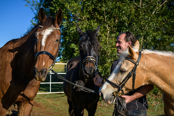 WILDERS HORSES 014