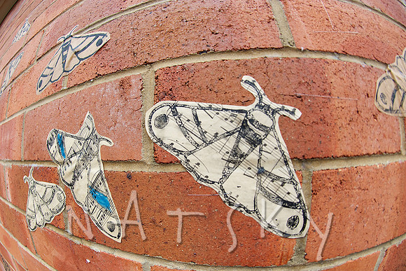 liSMORE STREET PHOTOGRAPHER