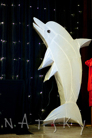 lismore EVENT photographer  029