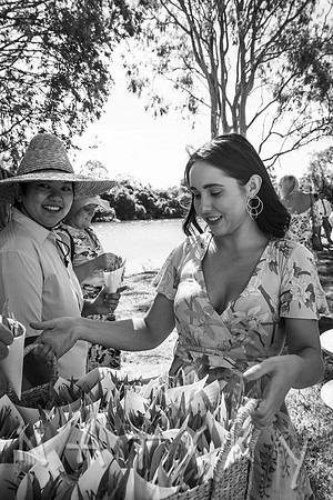 North Coast Wedding 013