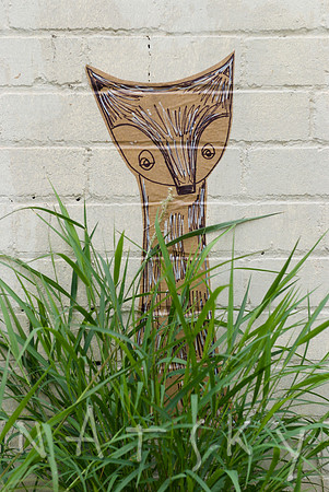 liSMORE STREET PHOTOGRAPHER