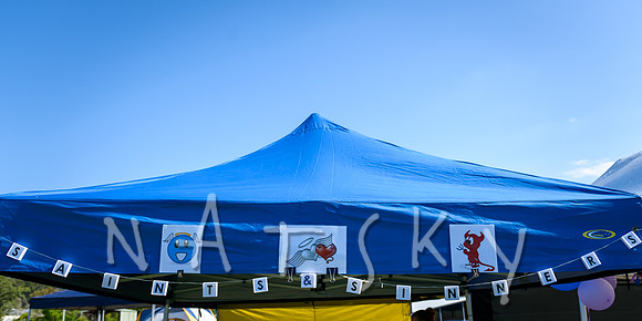 RELAY FOR LIFE 039