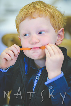 lismore family photographer 032