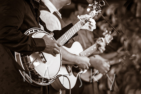 lismore music photographer 007