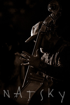 lismore music photographer 015