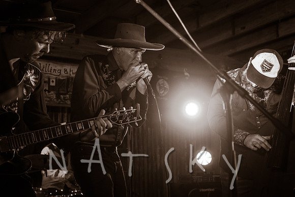 lismore music photographer 022