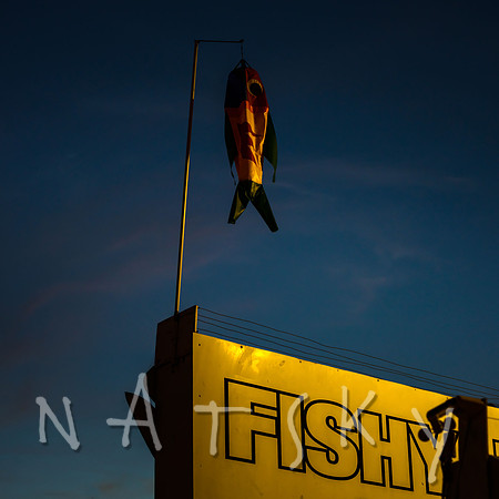 SOMETHING FISHY 1 of 5