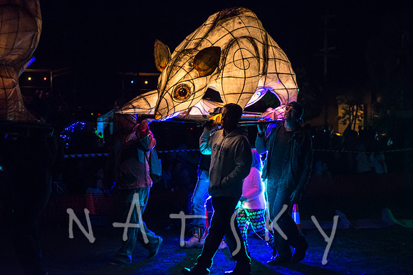 LANTERN PARADE 181
