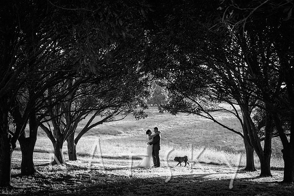 North Coast Wedding Photography