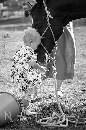 LISMORE FAMILY PHOTOGRAPHER 002