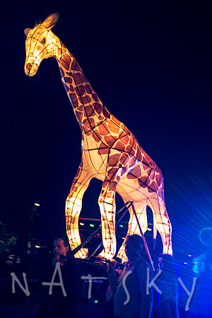 LANTERN PARADE 186