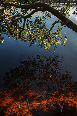 LAKE AINSWORTH 002