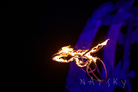 lantern parade 149
