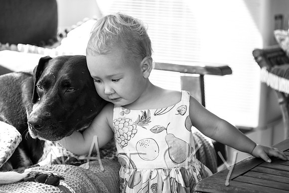 puppy musings