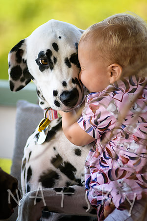 puppy cuddles
