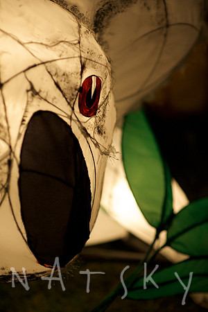 LISMORE EVENT PHOTOGRAPHER