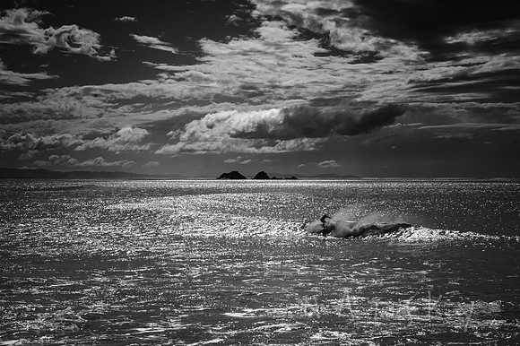 BYRON BAY 002