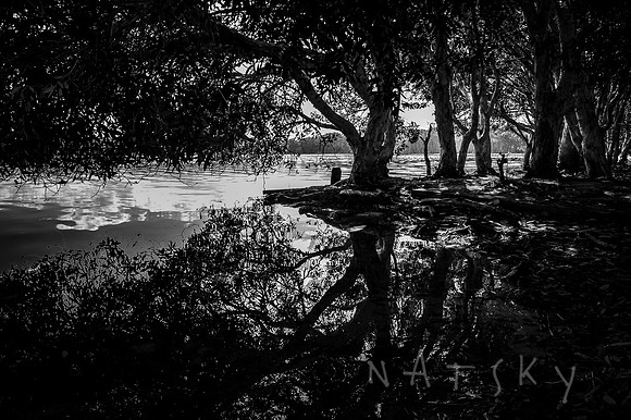 LAKE AINSWORTH 001