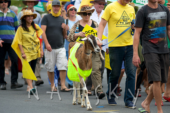 LISMORE STREET PHOTOGRAPHER  019