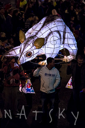 LANTERN PARADE 137