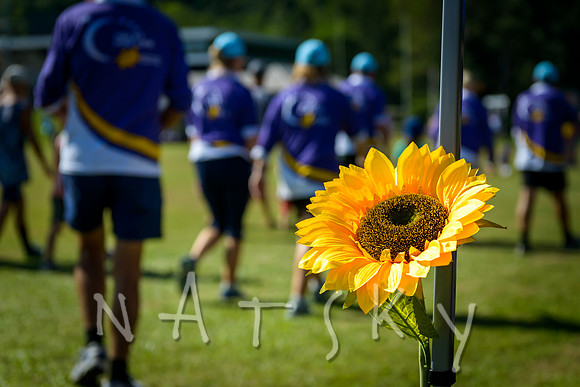 RELAY FOR LIFE 035