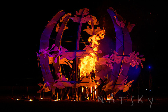 lantern parade 167