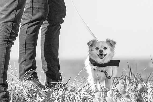 BALLINA WEDDING PHOTOGRAPHER 021