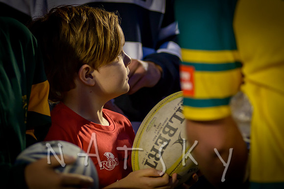 rugby 331