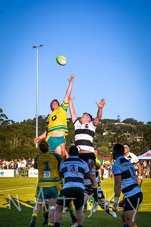 rugby 154