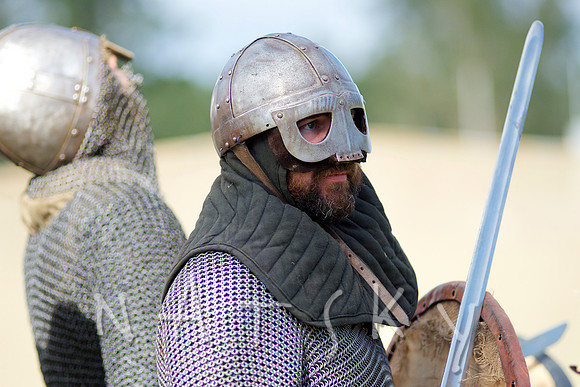 2015 VIKINGS  100