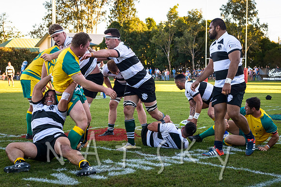 rugby 184