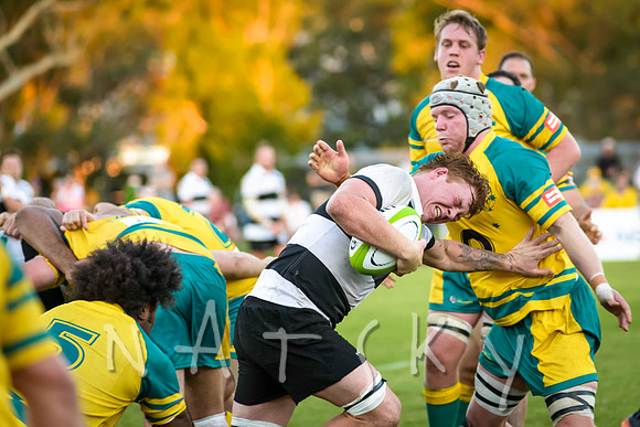 rugby 267