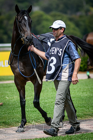 RACES 038