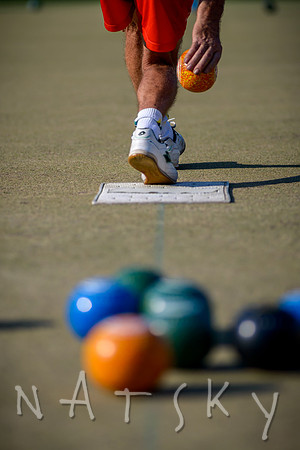 bowls 010
