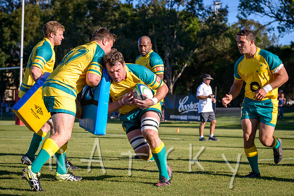 rugby 077