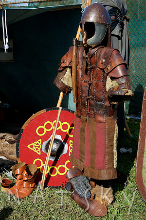 2015 VIKINGS  028