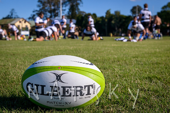 rugby 041
