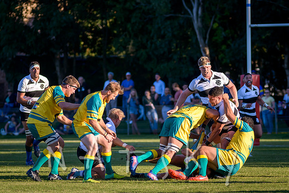 rugby 169